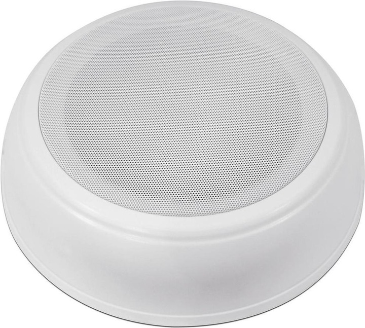 Omnitronic Haut-parleur de plafond DAL2 (1 pièce)