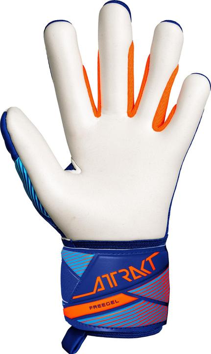 Produktbild Reusch Attrakt Freegel Advance (4.5)