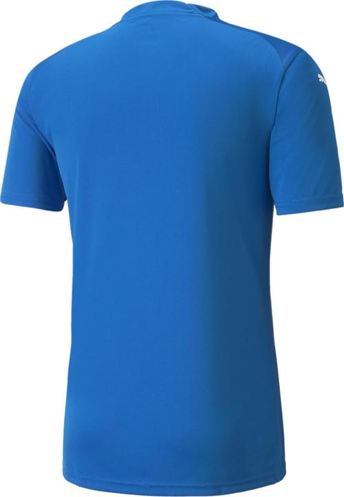 Produktbild Puma teamGLORY Jersey (L)