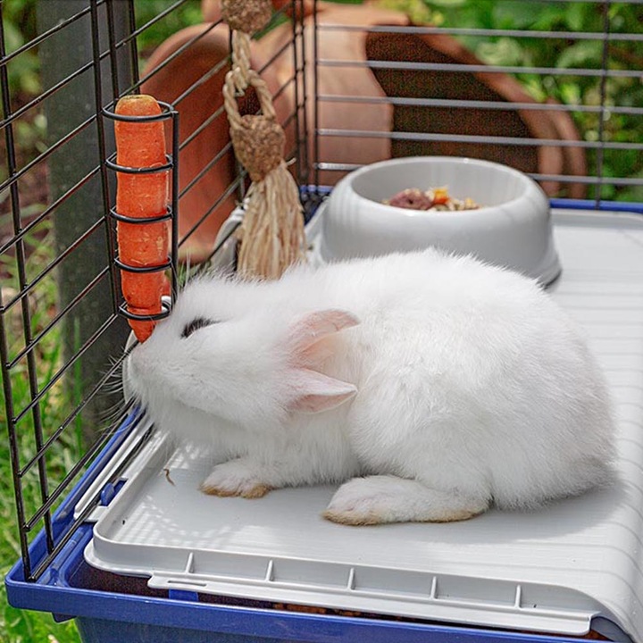 Actual product image Ferplast Rabbit 120
