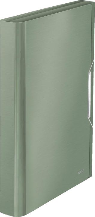 Produktbild Leitz Ordnungsmappe (A4, 1 x)