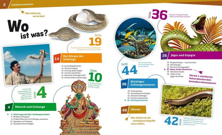 Produktbild Tessloff Was ist Was Schlangen. Jäger mit dem sechsten Sinn (Deutsch, Nicolai Schirawski, Johann Brandstetter, 2013)