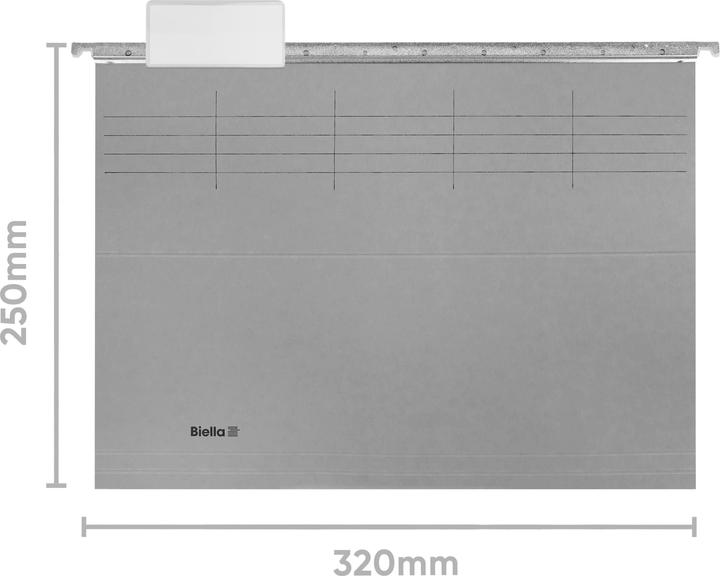 Image du produit Biella Dossier de suspension (A4, 25 x)