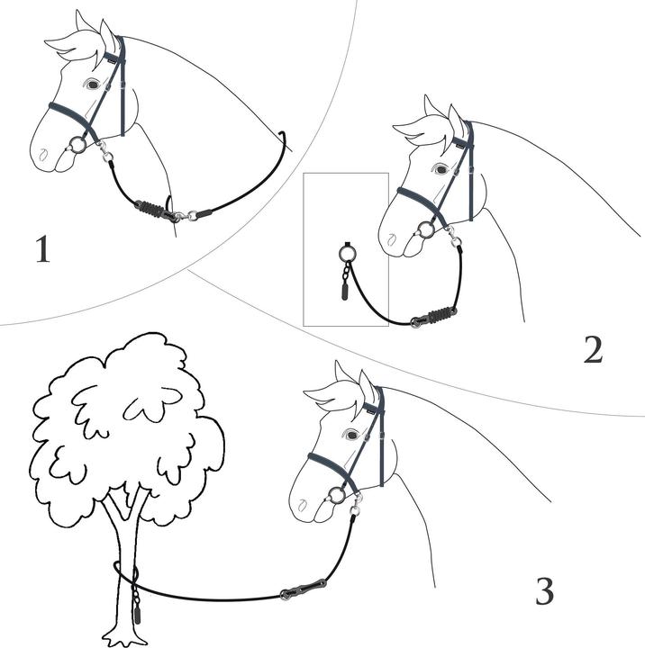 Image du produit Fouganza Longe de randonnée équestre Polypropylène