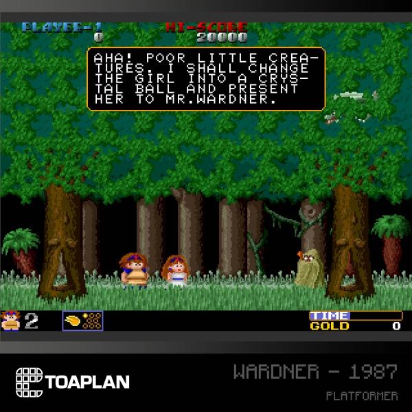 Actual product image Blaze Evercade Toaplan Arcade Collection 2 Cartridge (Evercade)