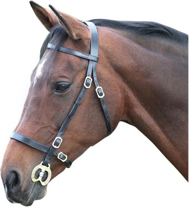 Image du produit Universal Textiles En main Bridon Cuir uni