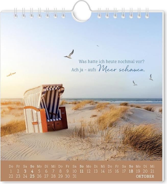 Produktbild Postkartenkalender 2026 Strandgut (16 x 17 cm)