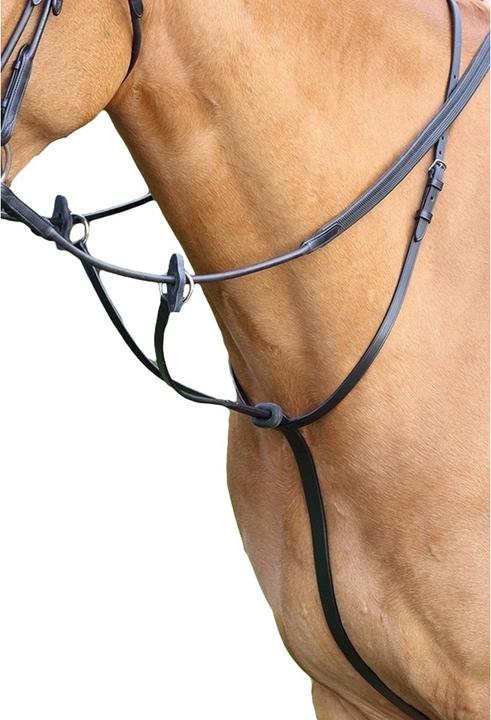 Actual product image Aviemore Ring martingale leather