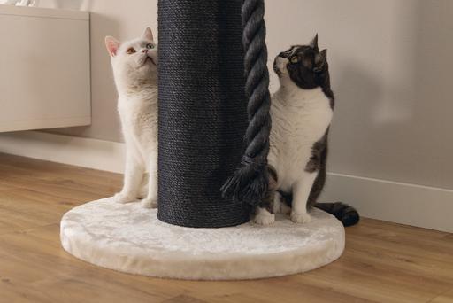 Image du produit Beeztees Tura (100 cm, Marron, Beige)