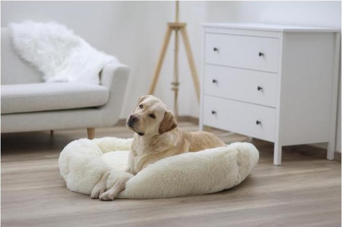 Image du produit Kerbl Lit douillet Fluffy, Crème, 60x40cm (Chien)