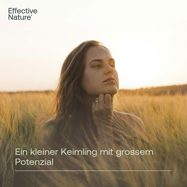 Produktbild Effective Nature Gekeimte Brokkolisamen (Gemüsesamen)