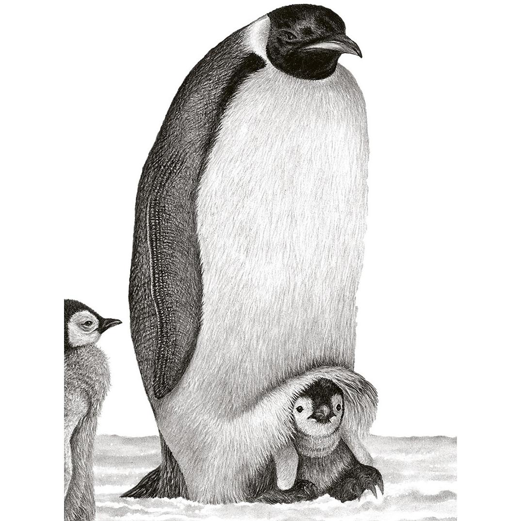 Thumbnail - Bruder Tier, Sachbücher von Karl König