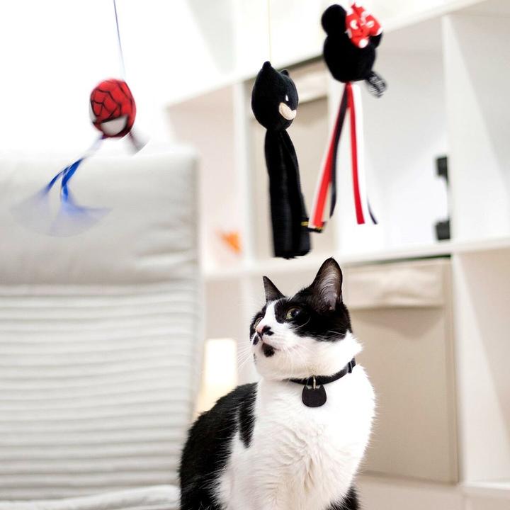 Actual product image Minnie Mouse Cat toy Black (Catmint toy)