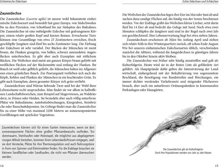 Produktbild Ein Garten für Eidechsen (Deutsch, Wolf R. Gnzel, 2014)