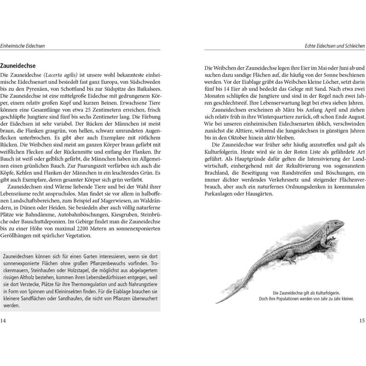 Thumbnail - Ein Garten für Eidechsen, Fachbücher von Wolf R. G�nzel