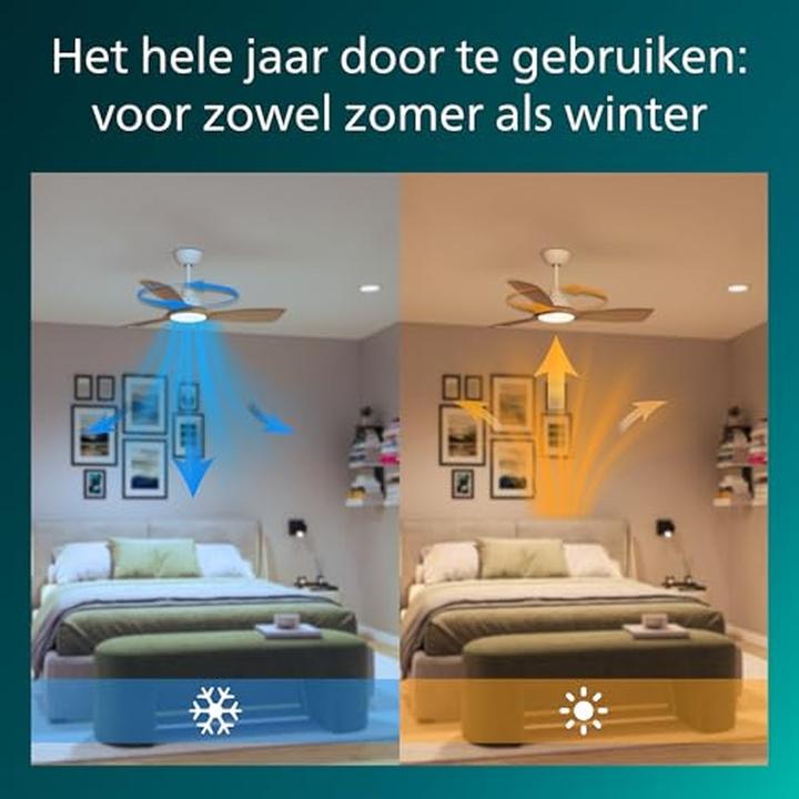 Actual product image Philips Olas
