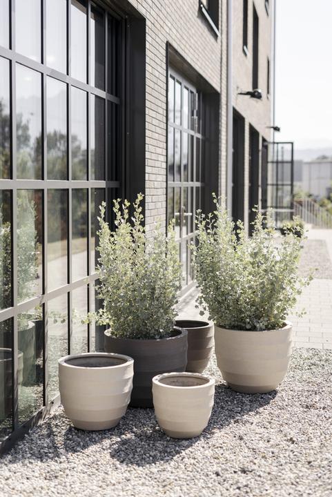 Produktbild Jaco Lite Terra Tulum (55 x 46 cm)