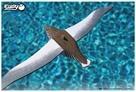 Immagine prodotto Eugy Set 3D Royal Albatross (MQ6)