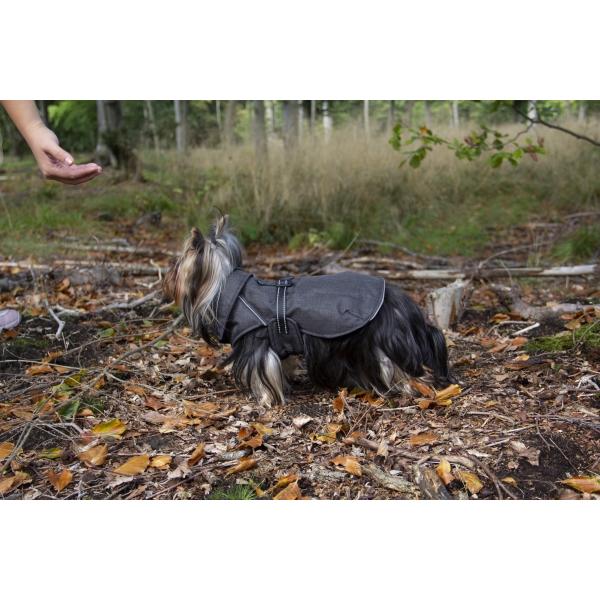 Companion ECO-life jacket (recycled material) - L/40 cm (40, L, Hundemantel), Hundebekleidung
