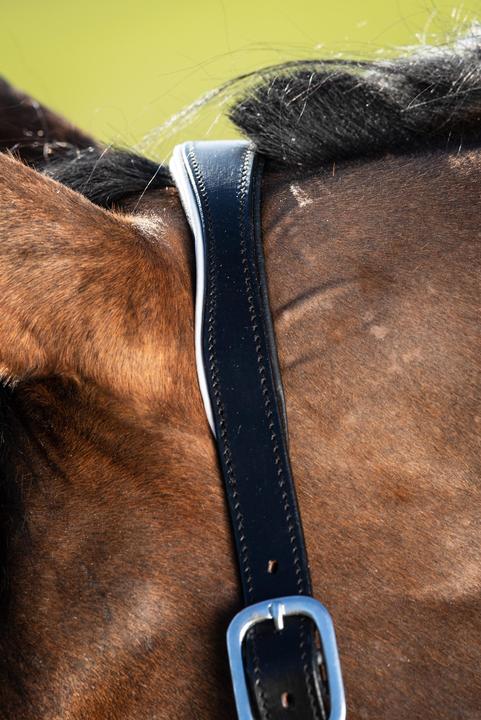 Immagine prodotto HFI Master Two-Tone