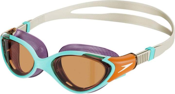 Ammonite Blue, Blue, Red, White