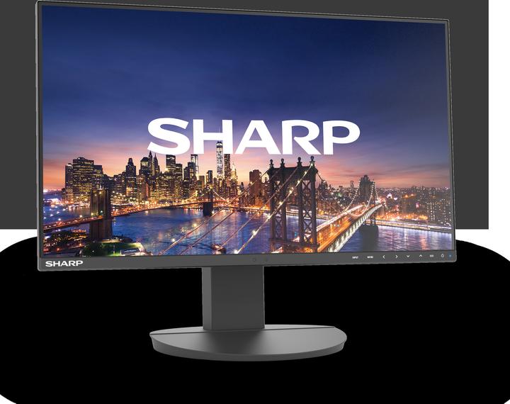 Actual product image NEC Multisync DD-EA242F (1920 x 1080 pixels, 24")