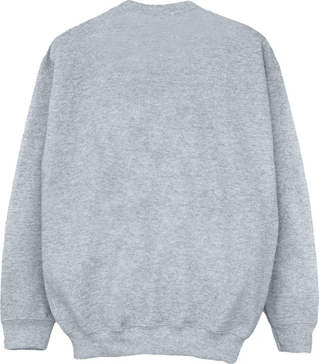 Actual product image Disney Girls Hocus Pocus Don't Get Out Much Sweatshirt (152, 158)