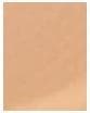 Actual product image Estée Lauder Double Wear Stay-In-Place (Light Medium 7)