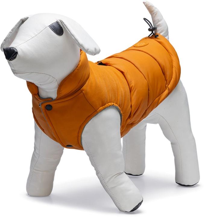 Actual product image Beeztees Hundemantel Wisti (XXS, Dog coat)