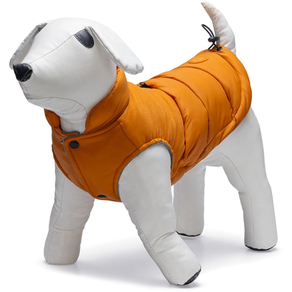 Meilleurs prix pour Beeztees Hundemantel Wisti (XXS, Manteau pour chien), Vêtements pour chien