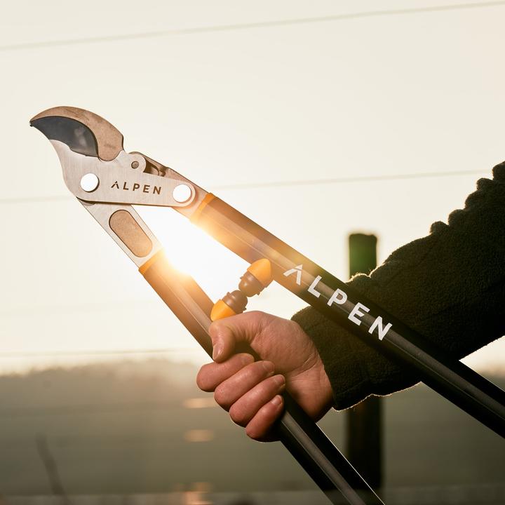Image du produit Alpen Swiss Tools Alpen WEISSHORN 280 Sécateur d'élagage