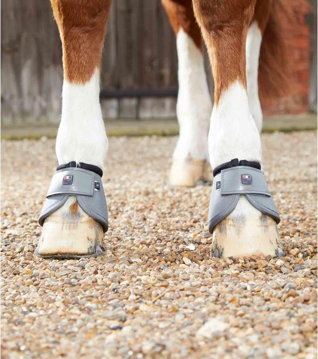 Immagine prodotto Premier Equine Ballistic (S)