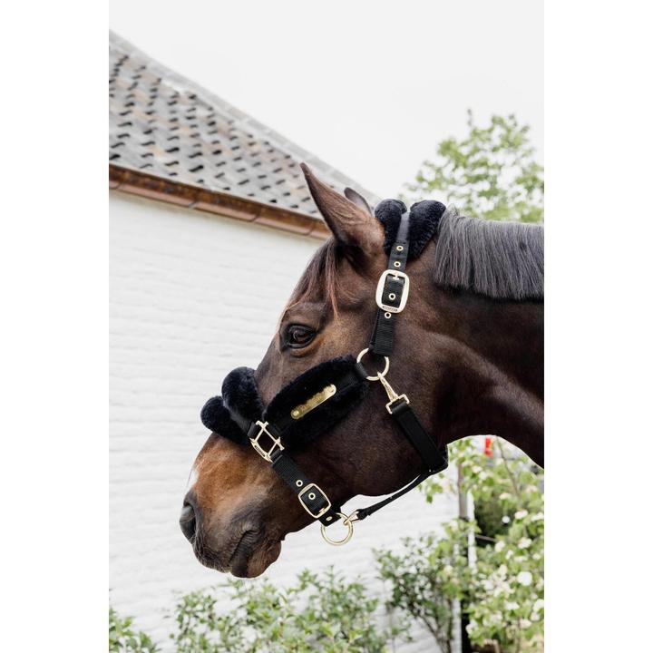 Produktbild Kentucky Horsewear Halfter Nylon sheepskin soft