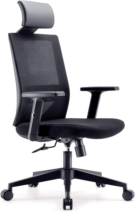 Sihoo Ergonomic office chair