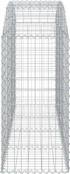 Image du produit vidaXL Gabionenkorb