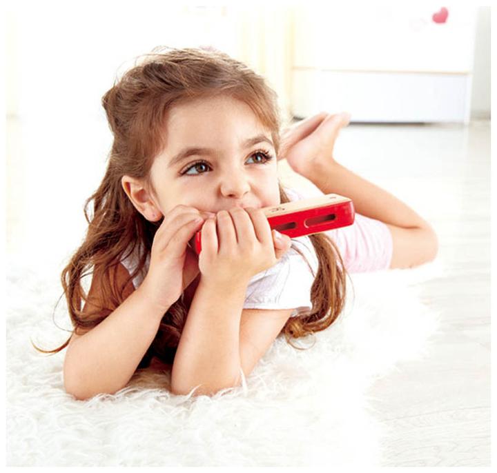 Actual product image Hape Blues harmonica (German, French, Italian, English)