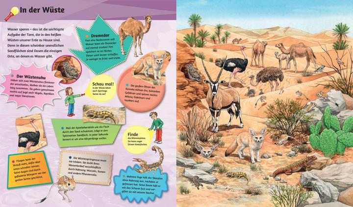 Produktbild Mein Taschenlampenbuch Wilde Tiere (Deutsch, 2024)