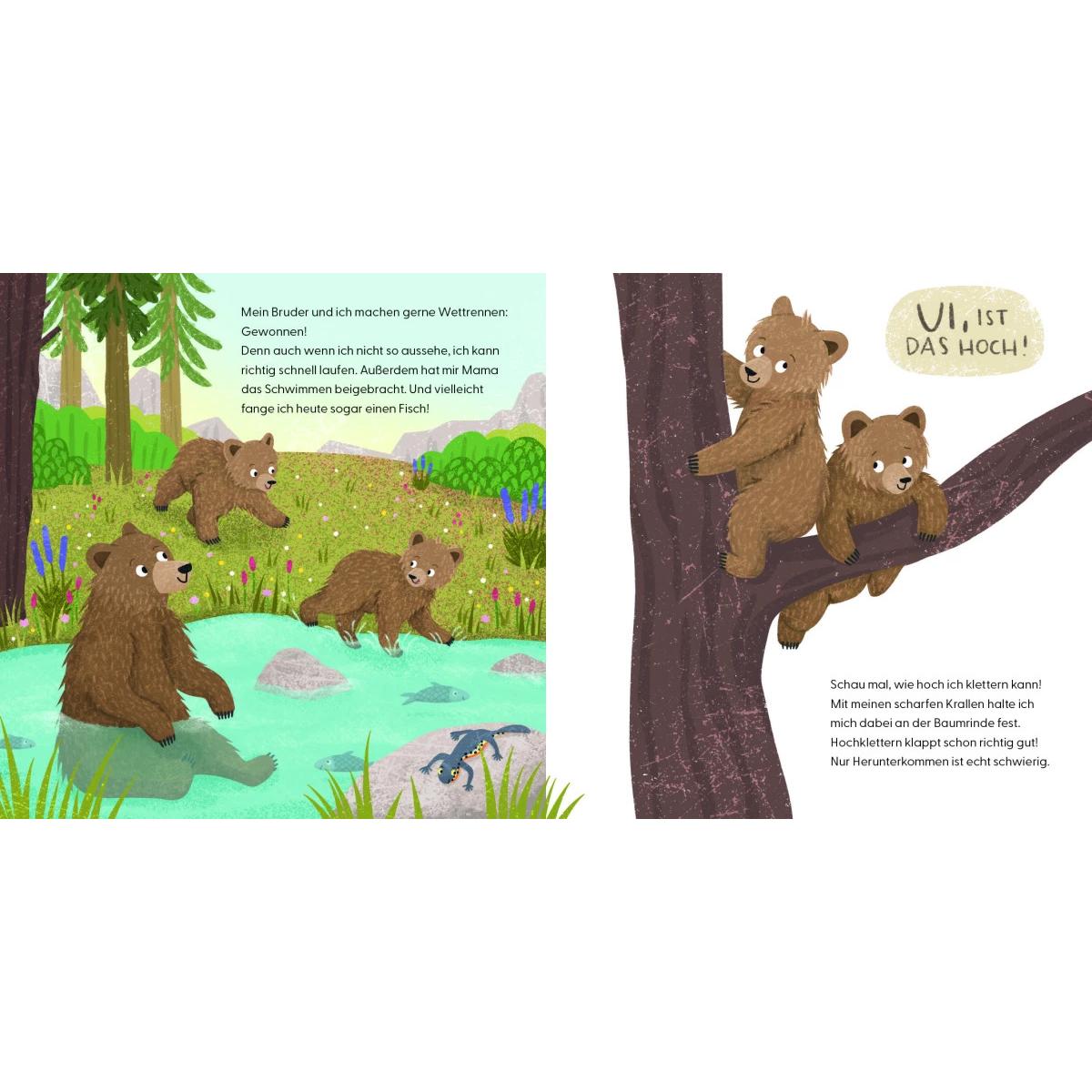 Thumbnail - Kennst du mich? Ich bin ein Bär!, Kinderbücher von Andrea Weller-Essers, Sandra Kissling