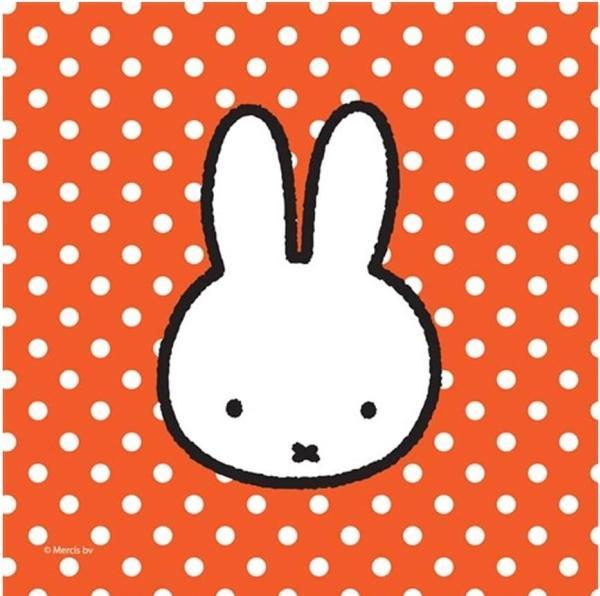 Actual product image Haza Witbaard Miffy (20 x, 25 x 25 cm)