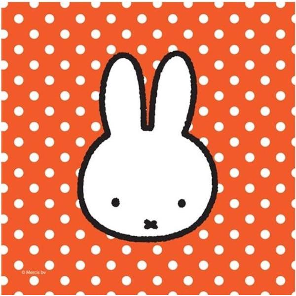Haza Witbaard, Servietten, Miffy (20 x, 25 x 25 cm)