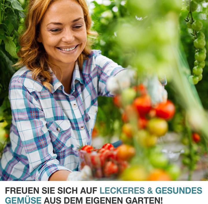 Produktbild Jamb Tomatenhaus