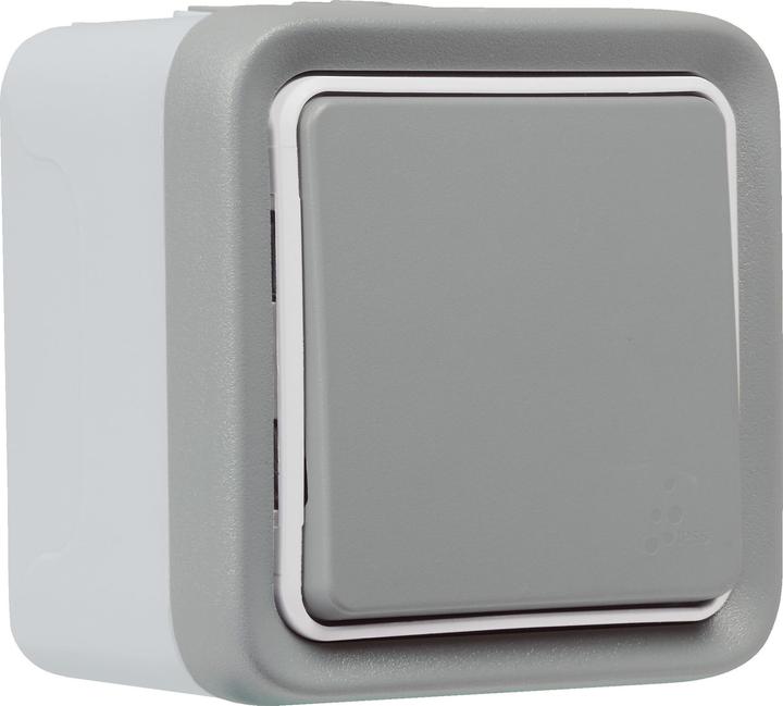 Actual product image Legrand PLEXO 55 1 GANG 2 WAY SWITCH