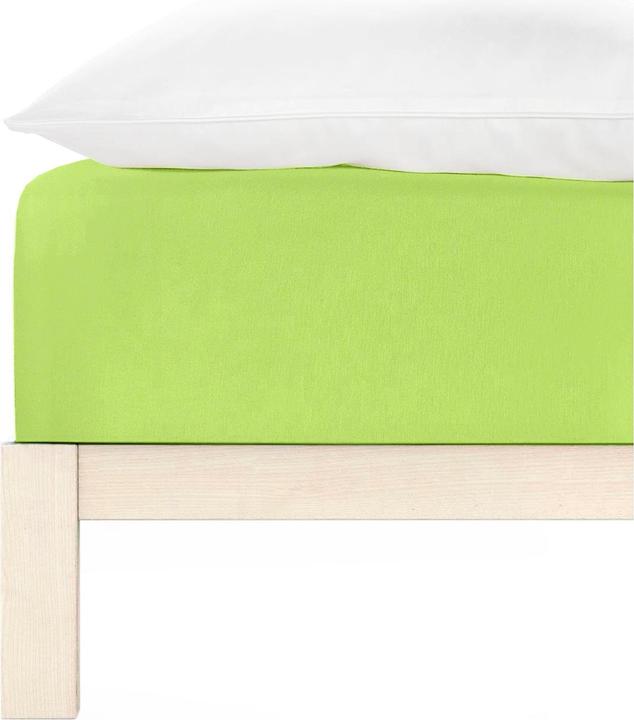 Produktbild Living Home Boxspring Feinjersey (200 x 200 cm)