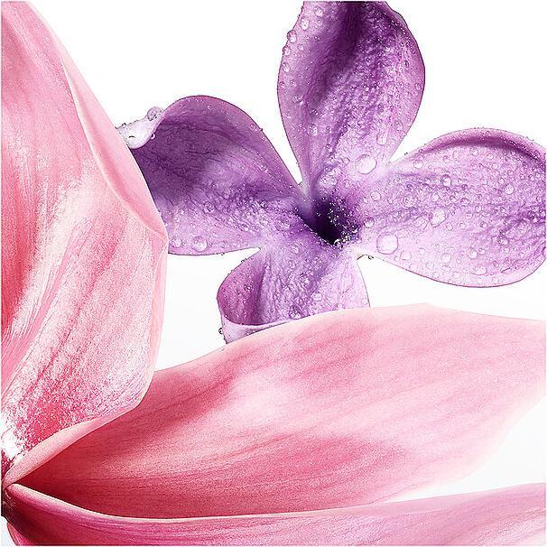 Produktbild Issey Miyake A Drop d'Issey Eau de Parfum Essentielle 90ml (Eau de Parfum, 90 ml)