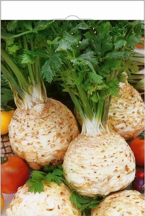 Produktbild Zollinger Bio Knollensellerie, Balba (Keimlinge)