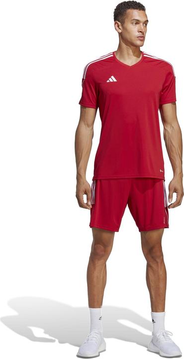 Actual product image adidas Men's shorts Tiro 23 League red IB8082 (S) (S)