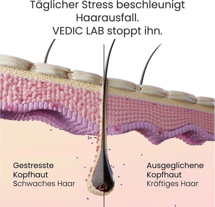 Produktbild Vedic Lab Healthy Agereversal (100 ml)