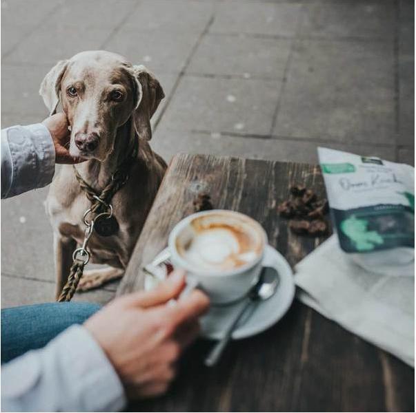 Produktbild Hunter Dressurhalsung Solid Education (35, 36, 37, 38, 39, 40, Hund, Hundesport)