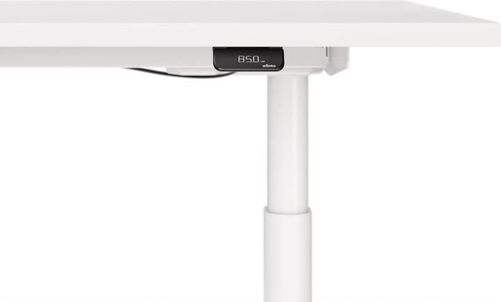 Actual product image ofinto Rise