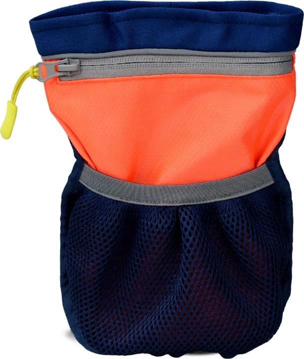 Company of Animals Coachi Pro (One Size, Erziehung)